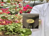 توزيعات عطور ميني للعيد