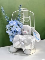 هدية مولود جديد