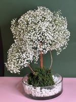 فازة ورد جبسوفيليا ابيض