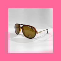 كاريرا نظارة شمسية C10