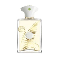 عطر امواج براكن الرجالي او دو بارفيوم 100مل Bracke...