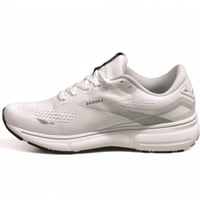 Brooks Ghost 15