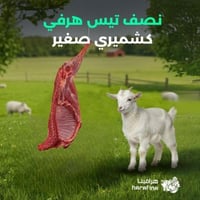 نصف تيس هرفي كشميري صغير