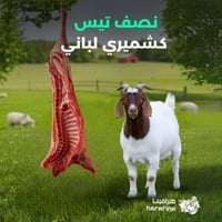 نصف تيس كشميري لباني