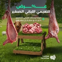 عرض النعيمي اللباني الصغير