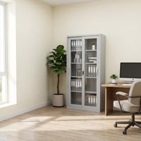 دولاب مكتبي حديد 2 باب - رمادي