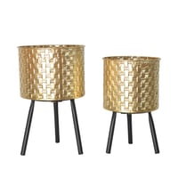 طقم مراكن ورد وأشجار الزينة حديد 2 حبة ذهبي