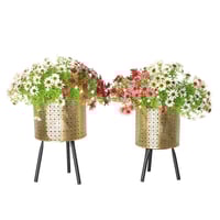 طقم مراكن ورد وأشجار الزينة ستيل مخرم 2 حبة ذهبي