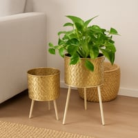 طقم مراكن ورد وأشجار الزينة حديد 2 حبة ذهبي