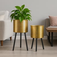 طقم مراكن ورد وأشجار الزينة ستيل مخرم 2 حبة ذهبي