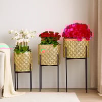 طقم مراكن ورود صناعية 3 قطع ذهبي