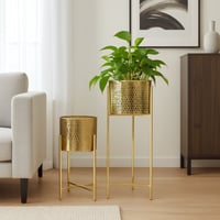 طقم مراكن ورد وأشجار الزينة إستيل 2 حبة ذهبي