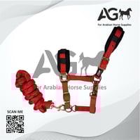 رشمه مع المقود من AG الاصدار الاول