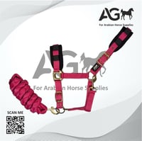 رشمه مع المقود من AG الاصدار الاول