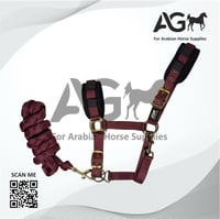 رشمه مع المقود من AG الاصدار الاول