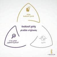 واقع المنظمة بمستوى متقدم