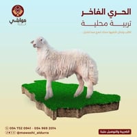 الحري الفاخر ( 35 كيلو )