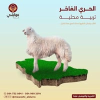 الحري الفاخر ( 25 كيلو )