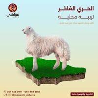 الحري الفاخر ( 20 كيلو )