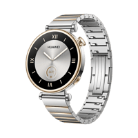 HUAWEI WATCH GT 4 41mm Silver Stainless Steel Stra...