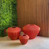 طقم مراكن الصبار قصير 3 قطع