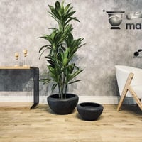 طقم مراكن 2 قطع