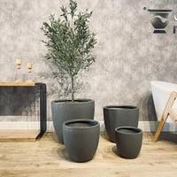 طقم مراكن 4 قطع