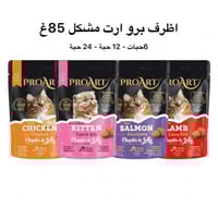 اظرف برو ارت مشكل كميات متعددة 85غ