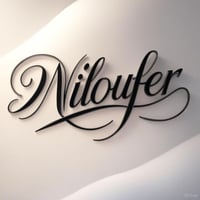 Nilofer