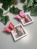 علبة مناكير شفافة