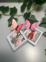 علبة مناكير شفافة