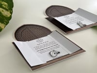 بروش التأسيس المميز