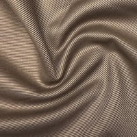 سيجنتشر - شتوي تصميم إنجليزي