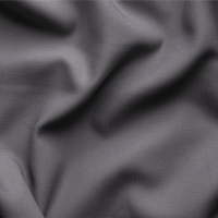 اوركيد - شتوي