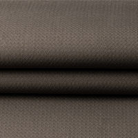 اوركيد - شتوي