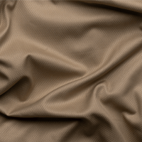 فانسي - شتوي