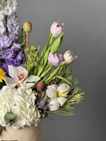 فازه ورد هولندي