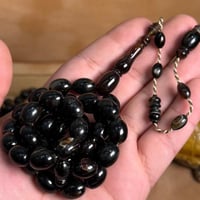 ترسه من ظهر السلحفه