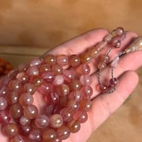 فاتوران سالمون