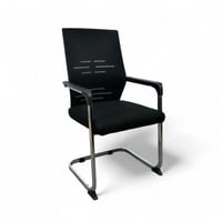 كرسي زائر ثابت