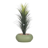 شجر صبار فرع واحد حوض فيبر بيضاوي