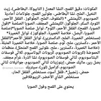 رامن نكهة الكيمتشي اوتوجي120g