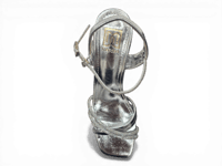 فضي (Silver)