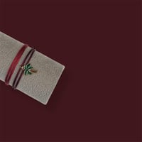 سوار مجموعة المدينة