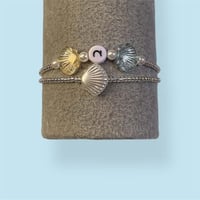 سوار الأصداف اللامع