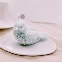 شمع العصفور