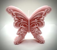 شمعة الفراشة