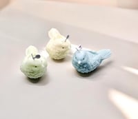 شمع العصفور