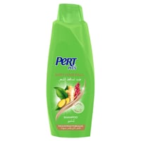 شامبو برت بلس ضد تساقط الشعر بخلاصة الزنجبيل - 600...