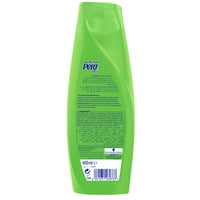 شامبو برت بلس مضاد للقشرة بزيت جوز الهند وخلاصة ال...